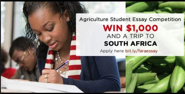 south african essay competitions