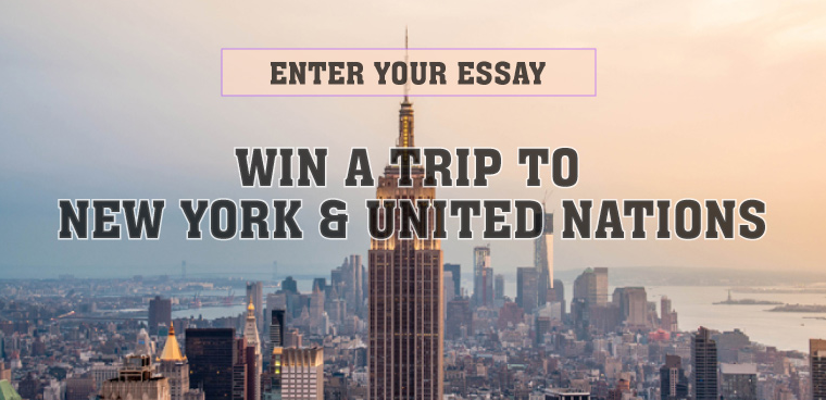 The United Nations: United Nations Essay - Free Essays