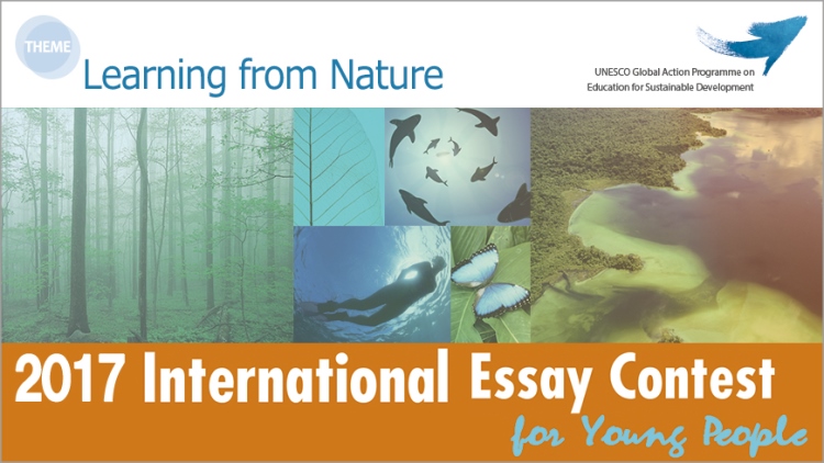 Goi Peace Foundation International Essay Contest 2017