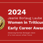 Jeanie Borlaug Laube Women in Triticum (WIT) Early Career Award 2024