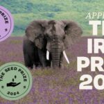 Apply for the Iris Prize 2024 (up to $15,000)