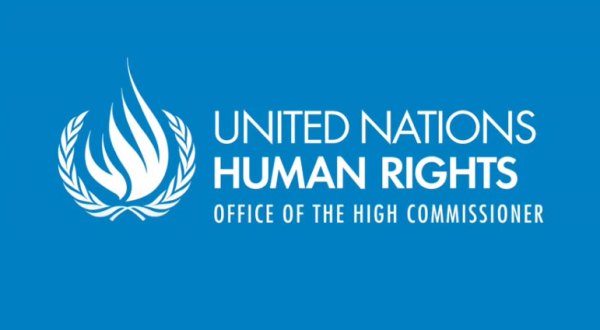 United Nations Human Rights Office – Humanitarian Funds Fellowship Programme 2020 (Stipend available)