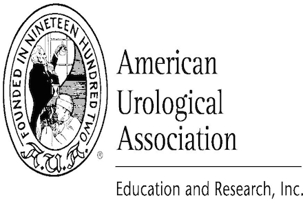 2015 Urology Care Foundation Research Scholars Program