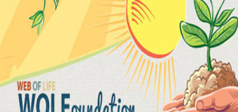 Web Of Life (WOL) Foundation 2014 Essay Competition
