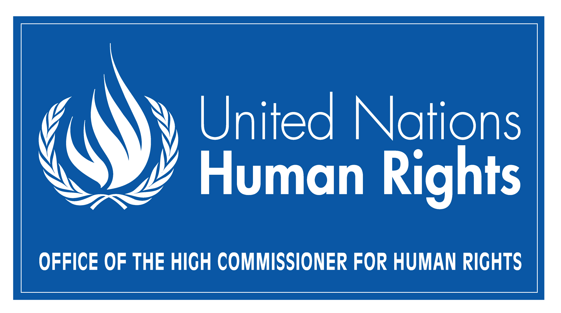 OHCHR Minorities Fellowship Programme 2016 – Geneva, Switzerland (Fully Funded)