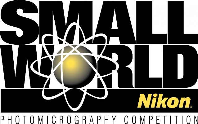 Enter the Nikon Small World Photomicrography Contest 2017