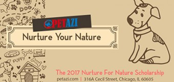 Nurture For Nature Scholarship 2017 (Amount up to $1,200)