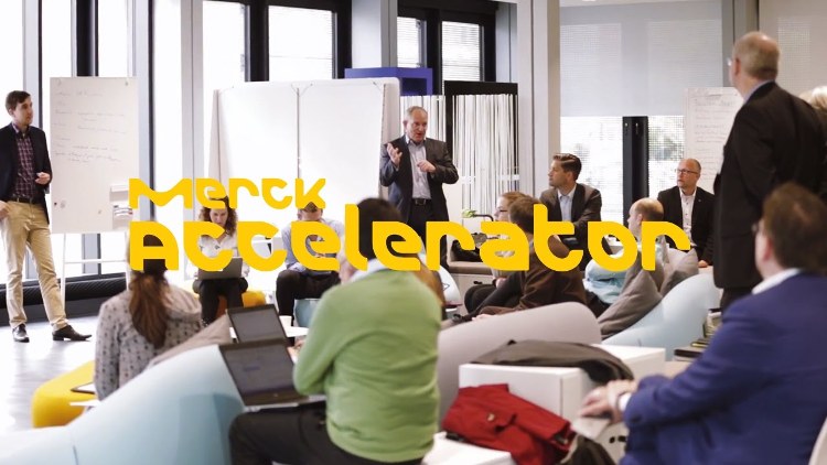 Merck Accelerator Program for Start-ups in Kenya and Germany 2017