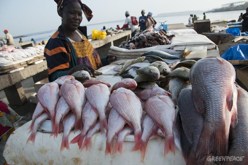 Earth Journalism Network West African Fisheries Reporting Grants 2017