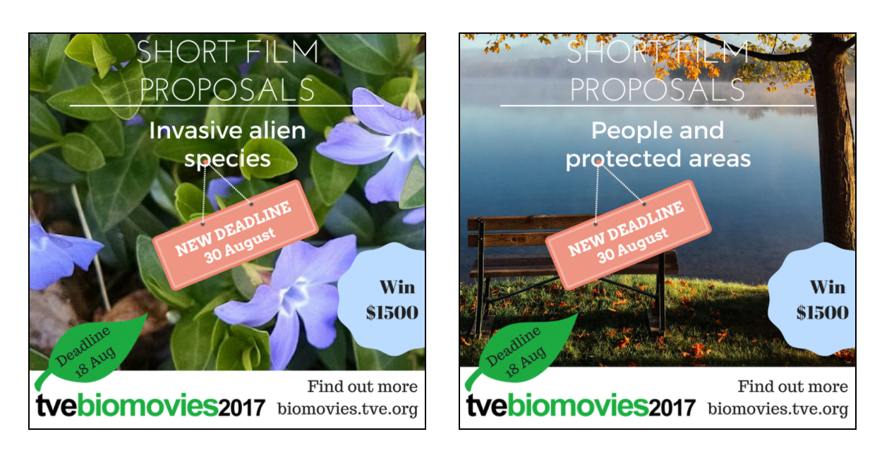 tvebiomovies Short Film Competition 2017 (Up to $3,000 in prizes)