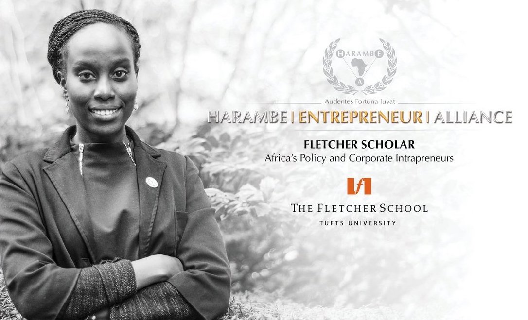 HEAlliance Fletcher Scholar Program 2018 (For Young Africans to Study at The Fletcher School at Tufts University)