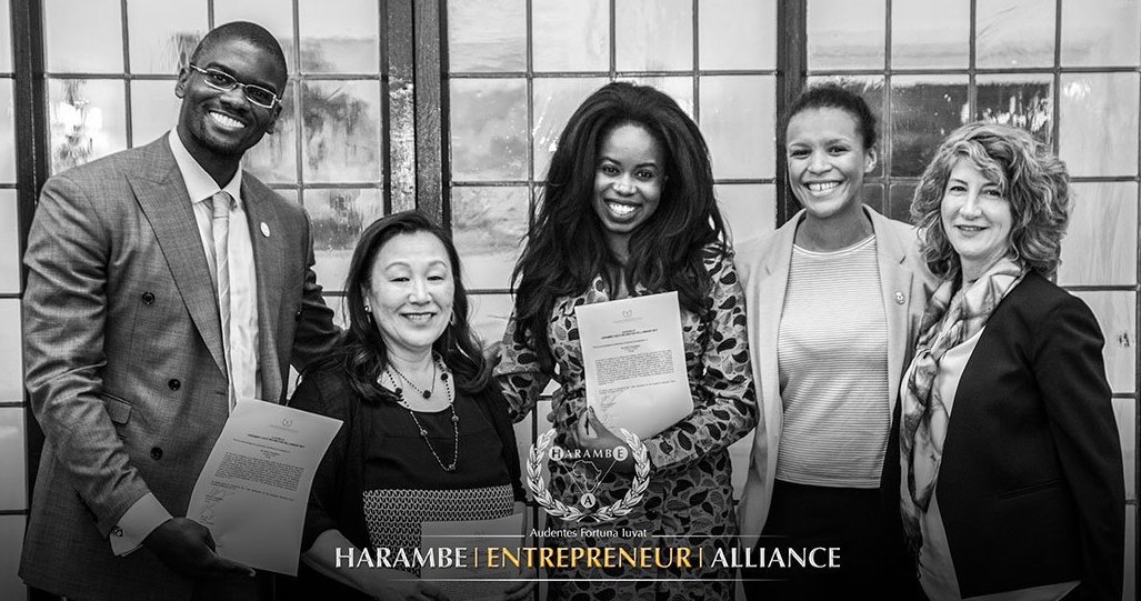 Harambe Entrepreneur Alliance Scholar Programs for Young Africans 2018