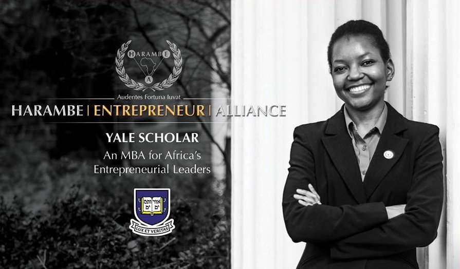 HEAlliance Yale Scholar Program 2018 (For Africans to Study at the Yale School of Management)