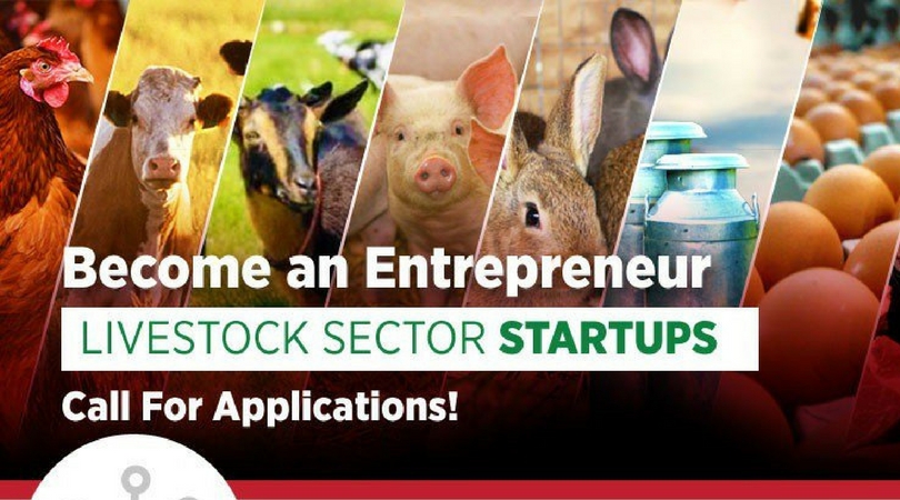 2018 CoELIB Incubar Program for Startups in the Livestock sector