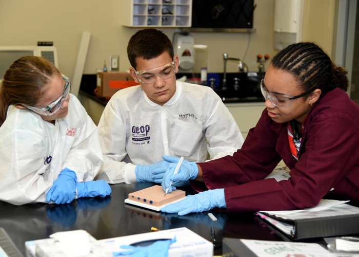 AEOP Summer STEM Apprenticeships 2018 for Students in the US (Stipend Available)