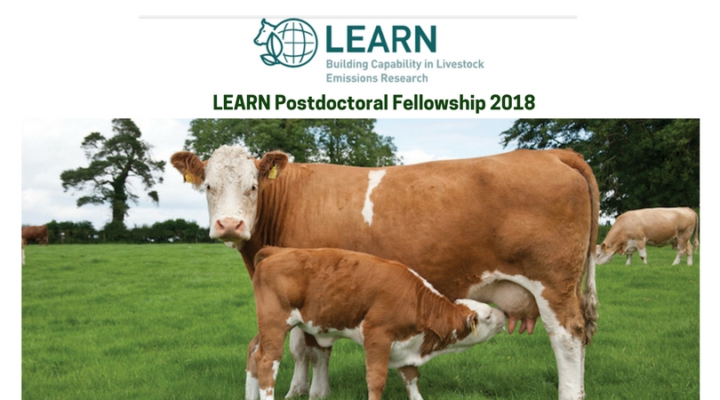 LEARN Postdoctoral Fellowship 2018 for Research in New Zealand (Fully-funded)