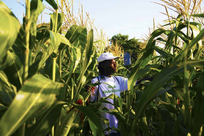 USAID Digital Agriculture Photo Contest 2018 (Prizes up to $1000)