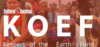 Cultural Survival’s Keepers of the Earth Fund (KOEF): Call for Project Concepts 2018 (Up to $5,000)