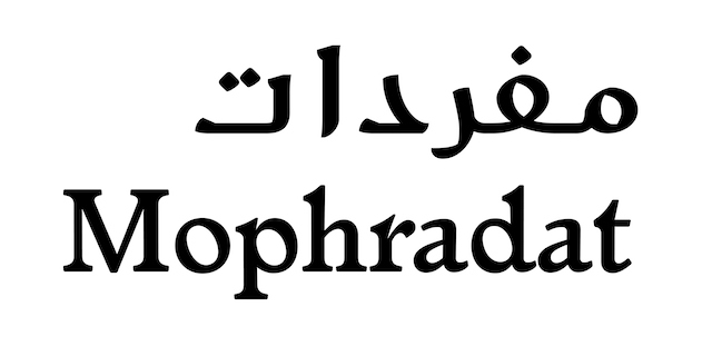 Mophradat Residency for Musicians from the Arab World 2019 (Funded to Poitiers, France)