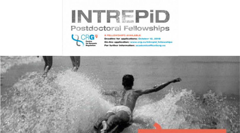 INTREPiD International Fellowship Programme 2018 for Young Researchers