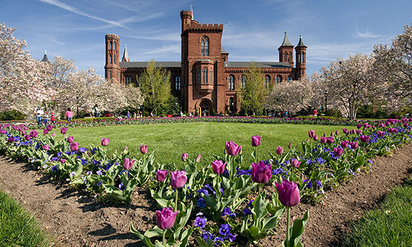 Smithsonian Institution Fellowship Program 2019 for Graduate, Predoctoral, Postdoctoral and Senior Researchers