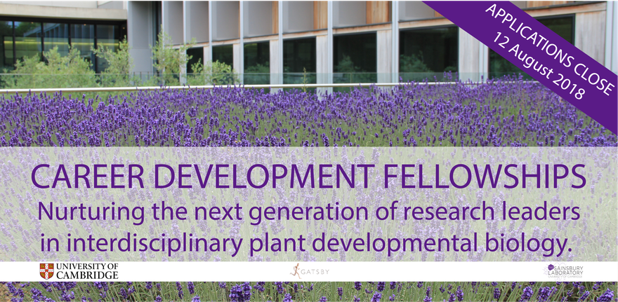 University of Cambridge Research Career Development Fellowships 2018-2019 (Funded)