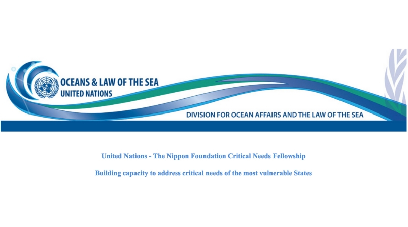 United Nations – The Nippon Foundation Sustainable Ocean Programme Critical Needs Fellowship (Funded)