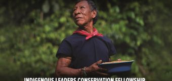 Indigenous Leaders Conservation Fellowship 2019/2020