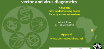 CONNECTED BecA-ILR Vector and Virus Diagnostics Course for Early Career Researchers 2019