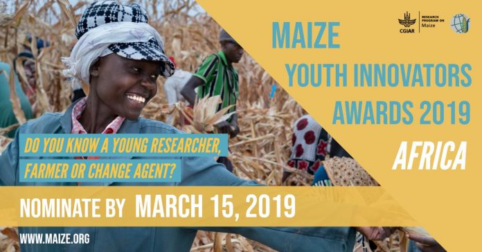 Call for Nominations: CGIAR MAIZE Youth Innovators Awards – Africa 2019