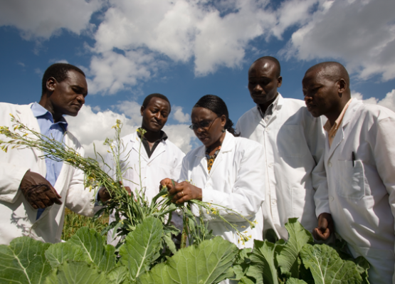 African Women in Agricultural Research and Development (AWARD) One Planet Fellowship 2019