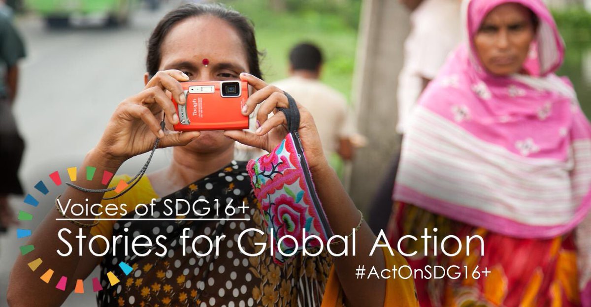 Voices of SDG16+: Stories of Global Action 2019 Video Competition (Win a trip to the UN High-Level Political Forum in New York)
