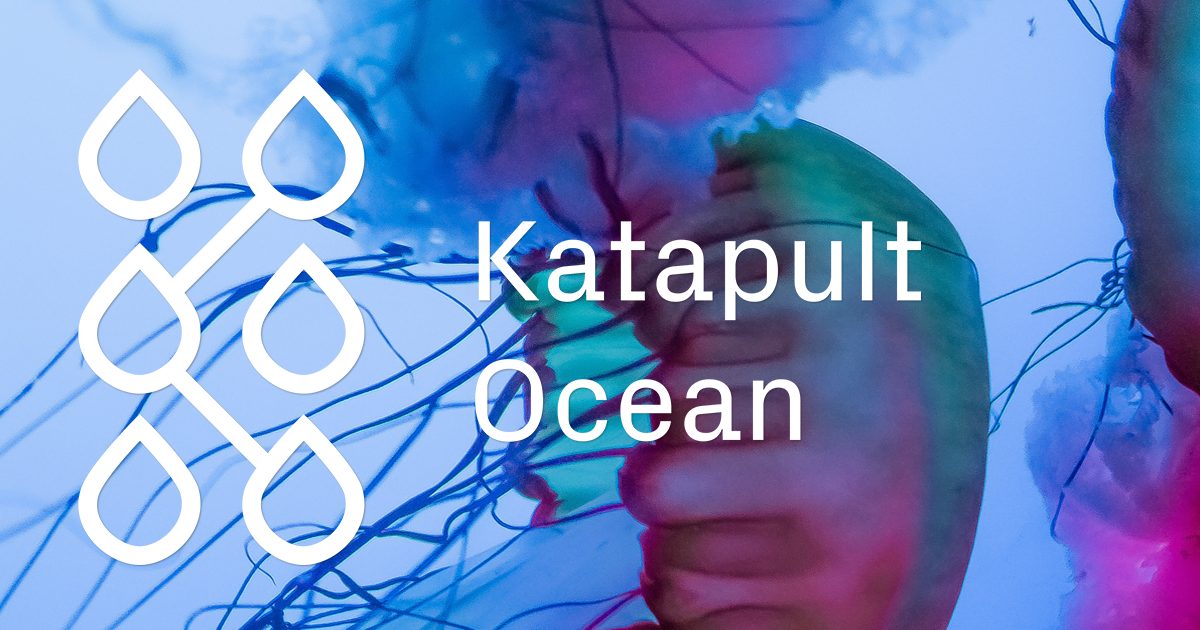 Katapult Ocean Accelerator 2019 for Tech Startups (Up to $150K in investment)