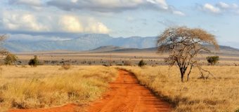 British Ecological Society Grants 2021 for Ecologists in Africa (up to £8,000)