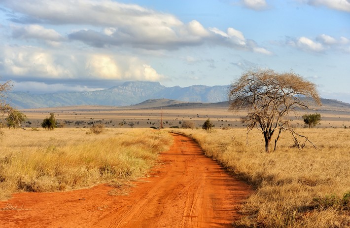 British Ecological Society Ecologists in Africa Grant 2019 (Up to £8,000)