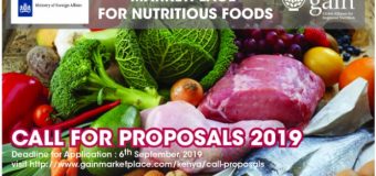 Call for Proposals: GAIN’s Marketplace for Nutritious Foods Innovation Accelerator Programme 2019