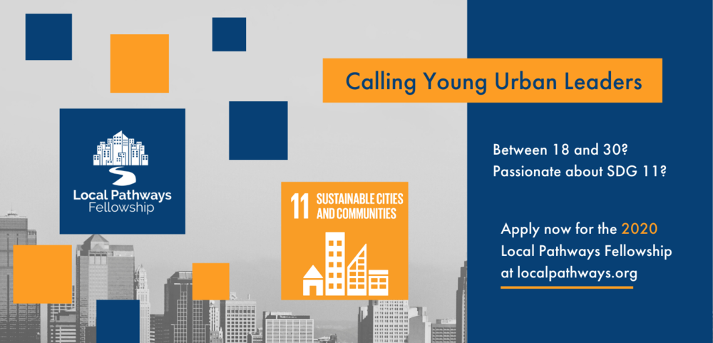 United Nations SDSN Youth Local Pathways Fellowship 2020