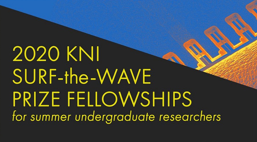 Kavli Nanoscience Institute CalTech SURF-the-WAVE Fellowships 2020 for Summer Undergraduate Researchers (Funded)