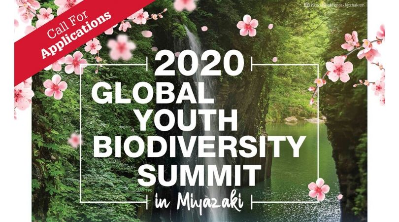 Apply to attend the Global Youth Biodiversity Summit 2020 in Miyazaki, Japan (Funded)