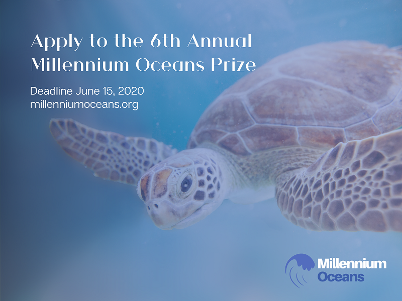 Millennium Oceans Prize 2020 on SDG 14 for Young Leaders (Up to $5,000)