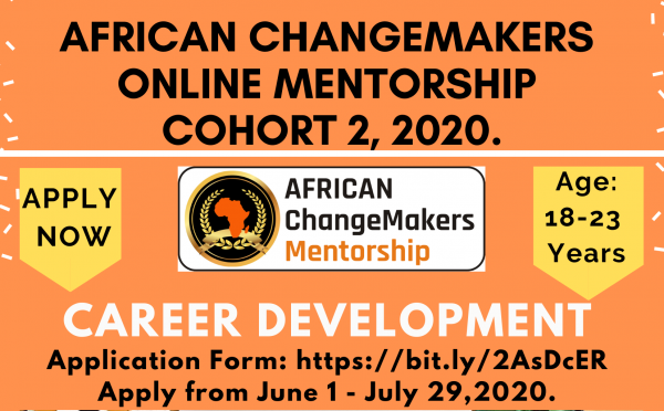 African ChangeMakers Online Mentorship Program 2020 (Cohort 2)