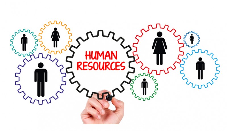  Is Human Resource Management A Good Career To Choose In 2020 