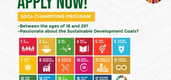 Nigeria Youth SDGs Network (NGYouthSDGs) Champions Program 2020