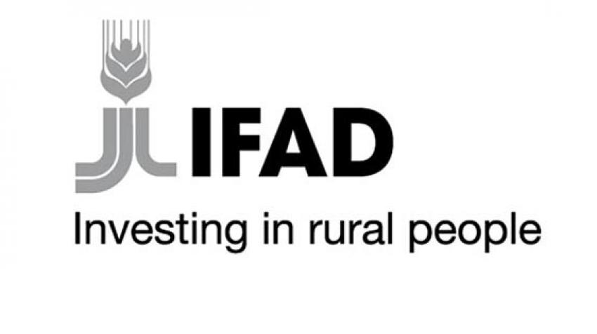 Call for Proposals: IFAD Rural Youth Employment Opportunities to Integrated Agribusiness Hubs 2020