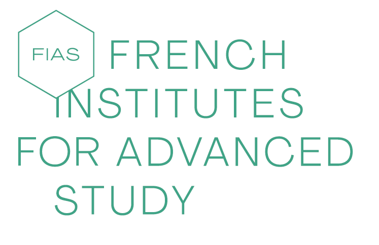 French Institutes for Advanced Study Fellowship Programme 2020 (Funded)