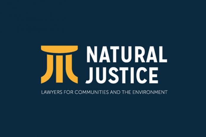 Call for Applications: Environmental Justice Research Fellowship 2020 for Kenyans (Paid position)