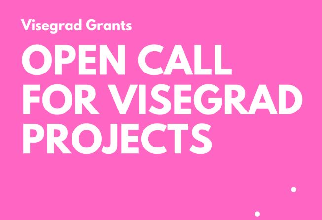 Visegrad+ Grants 2020 for Organiszations in Western Balkans and the Eastern Partnership countries