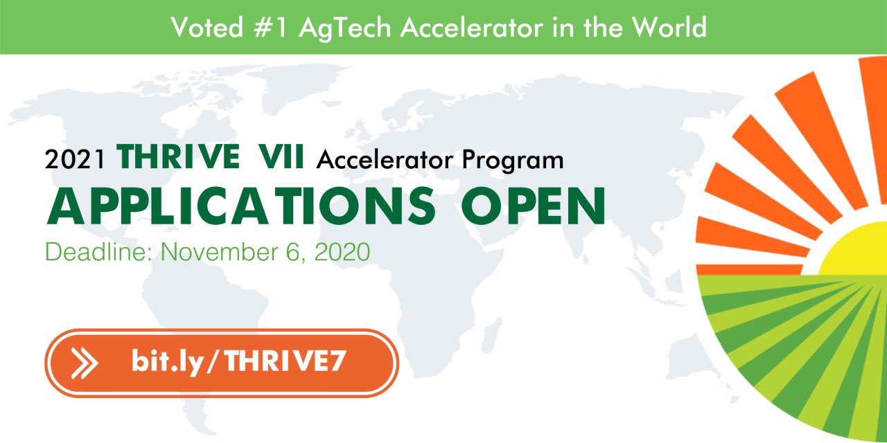 THRIVE VII Accelerator Program 2021 for Seed-stage Startups