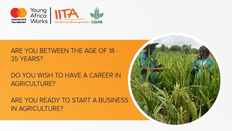 International Institute for Tropical Agriculture/Mastercard Foundation Young Africa Works-IITA Project 2020 [Nigerians only]