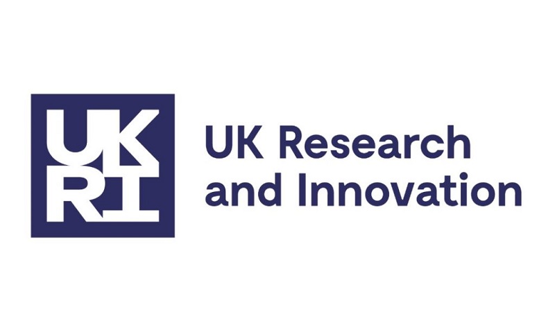 uk research fellowship